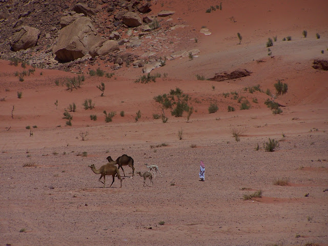 Bédouin au Wadi Rum