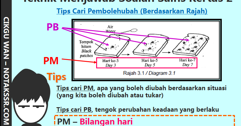 Cara Menjawab Soalan Upsr 2019 - Kuora q