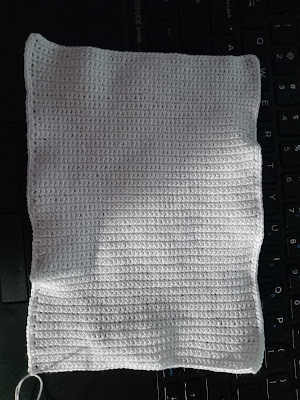 A rectangular panel with rounded corners at the top. It is crocheted with white thread in single crochet, including a white thread border of single crochets.