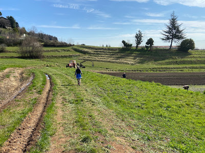 East of Bergamo heading toward Torre Boldone.