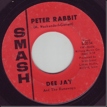 dee jay rabbit