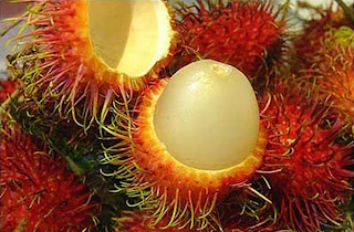 Rambutan