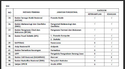  P r o f i l Jabatan Fungsional Pegawai Negeri Sipil BKN-Profil Jabatan Fungsional PNS Direktorat Jabatan ASN 