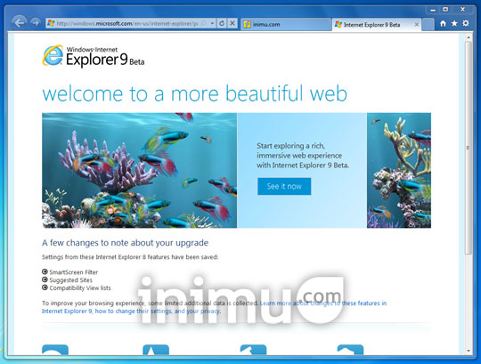 internet-explorer-9-01.jpg