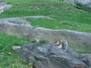 Central Park in New York