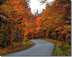 autumn3