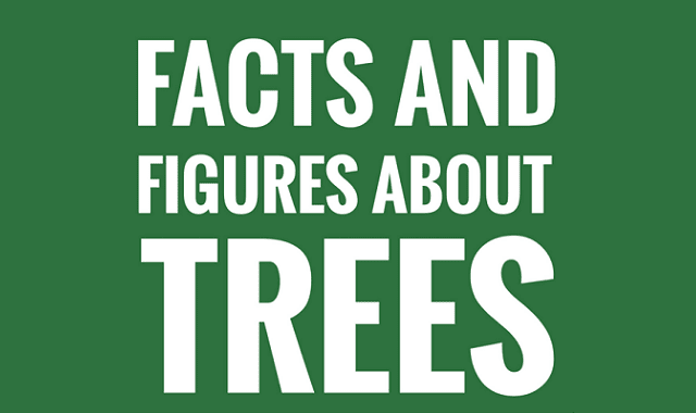 Amazing Facts and Figures About Trees