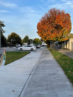 Autumn tree