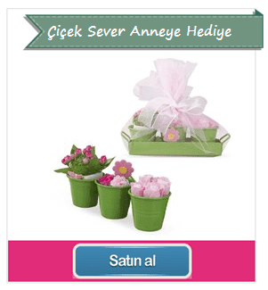 Çiçek Sever Anneye Anneler Günü Hediyesi