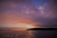 Dusk on Puget Sound - Photo by MissMushroom on Unsplash