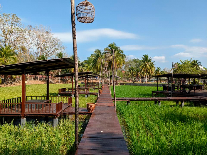 Pantai Cenang Beach Laman Padi Rice Garden Museum Langkawi