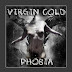 Virgin Cold - Phobia - (2010)