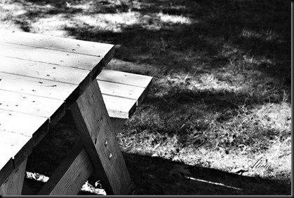 DSC_2436 copy