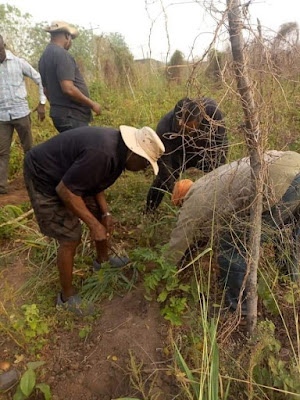 Obasanjo in farm