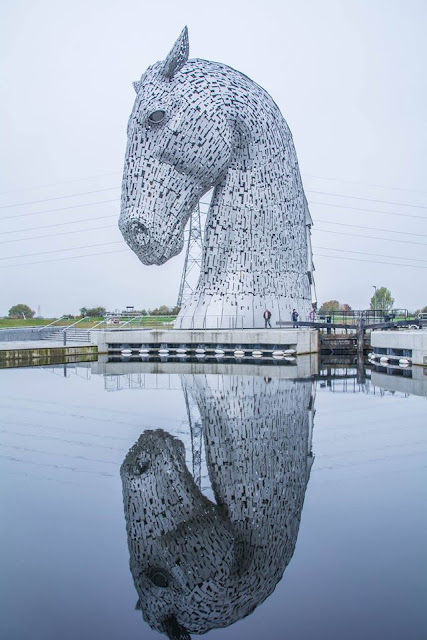 Kelpie Reflection by LT