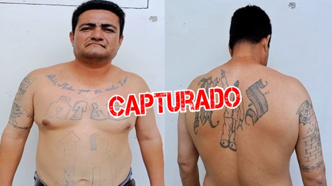 El Salvador: PNC captura al pandillero alias "Quijada" por agrupaciones ilícitas