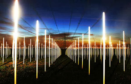 Field Of Fluorescent Tubes Powered By Ambient Current