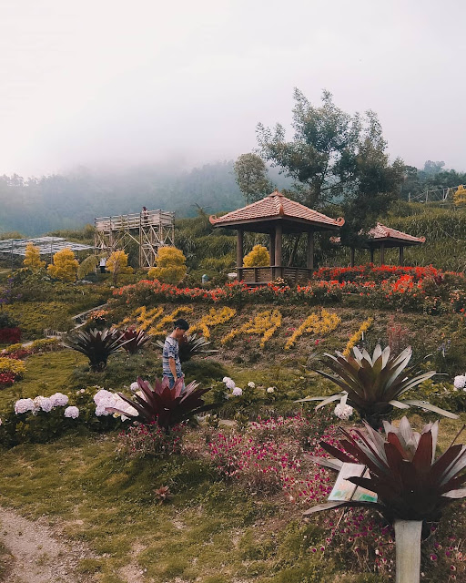 Taman Bunga di Jawa Tengah
