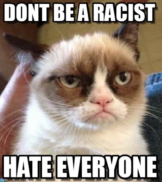 Grumpy Cat Memes