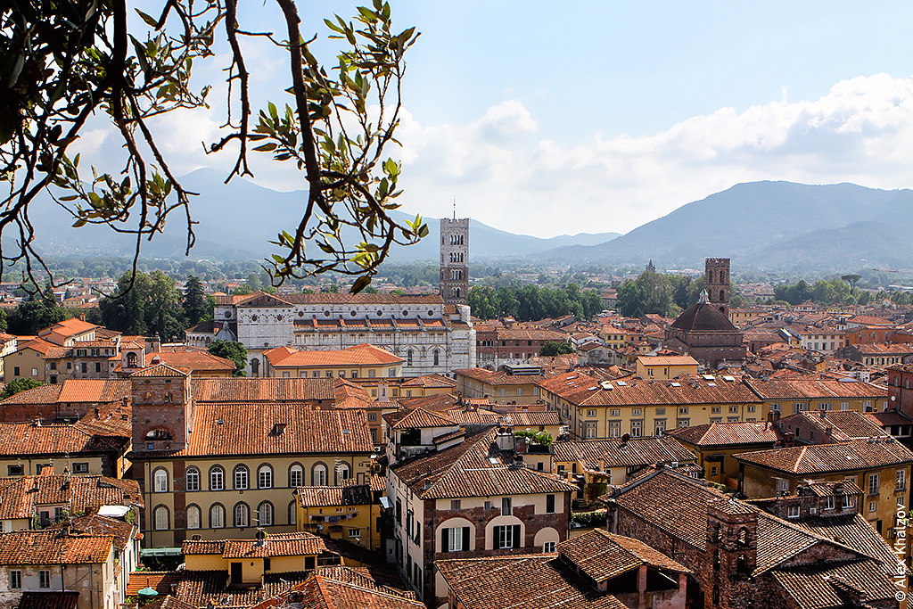 Lucca