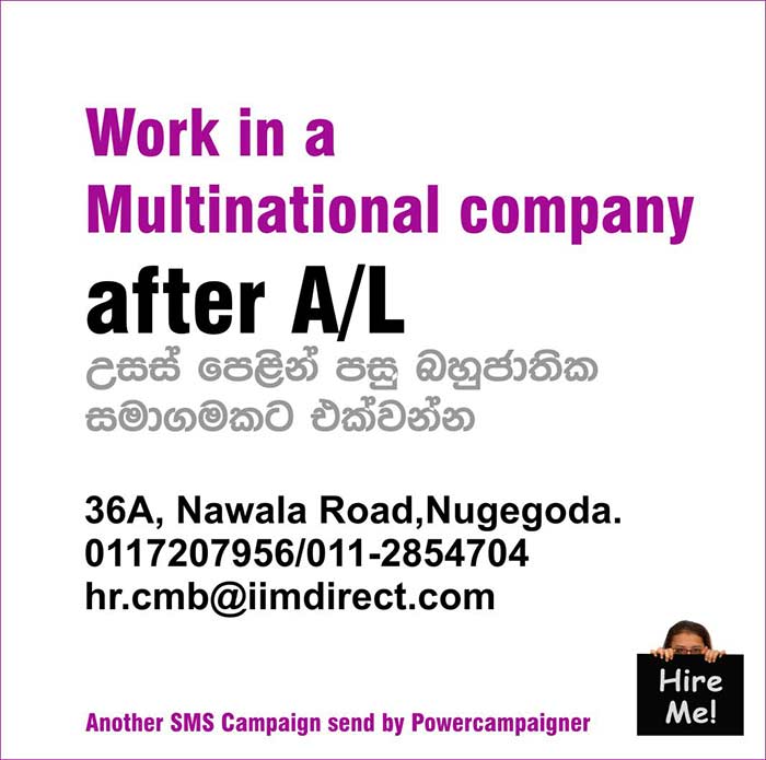 Work in a Multinational company after A/L.