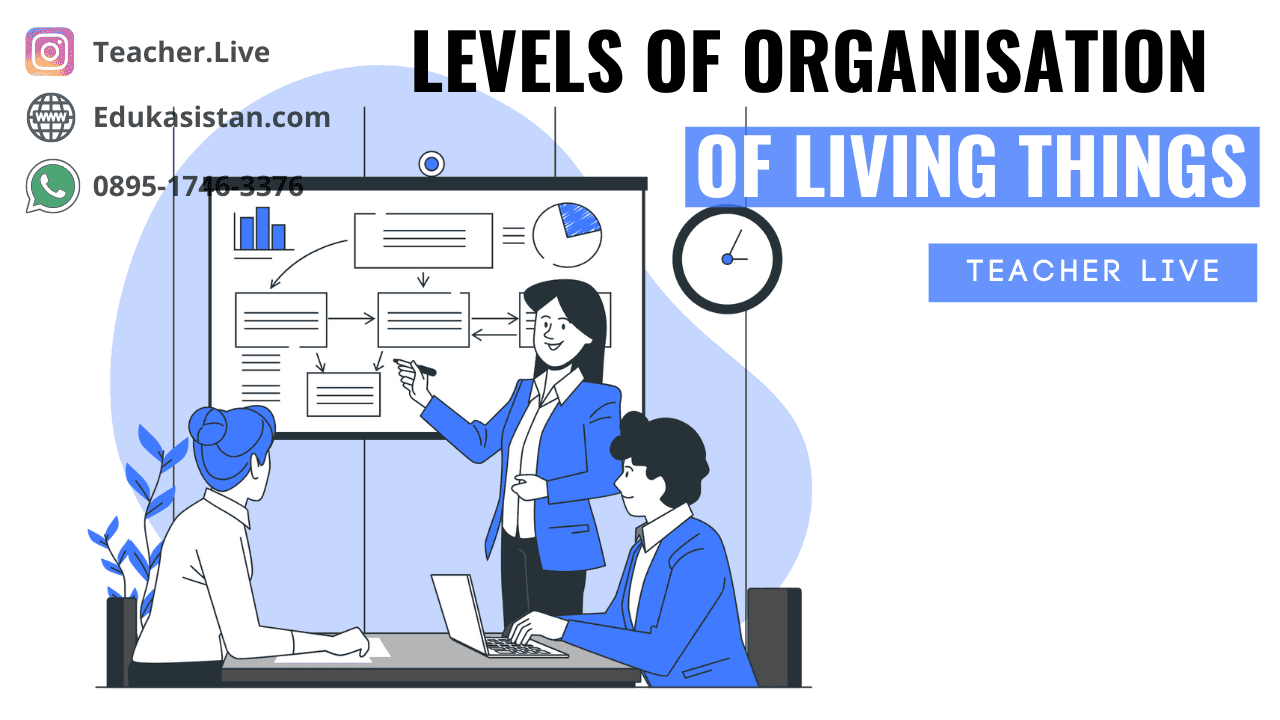 Levels of Organisation of Living Things