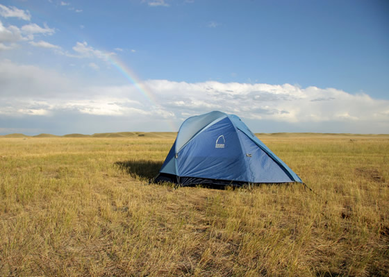 Human Impact on Grasslands