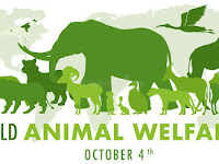 World Animal Day - 04 October.