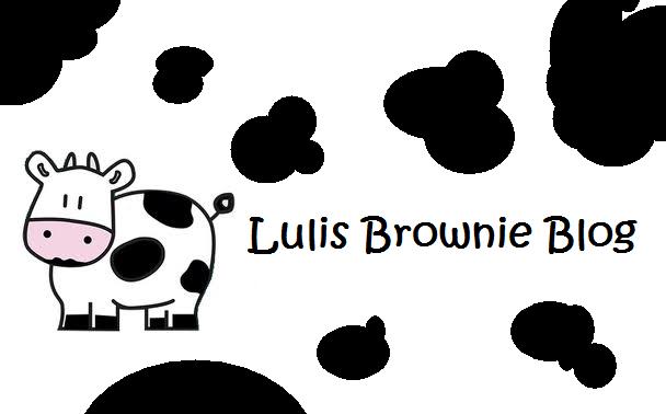 Lulis Brownie Blog