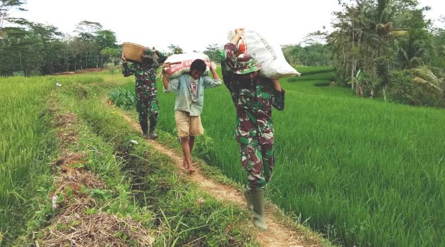 Satgas TMMD Juga Bantu Warga Panggul Ubi Jalar