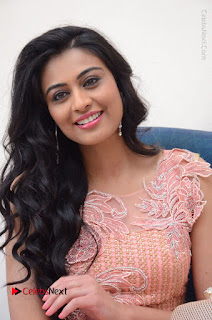 Actress Neha Hinge Stills in Pink Long Dress at Srivalli Teaser Launch  0074.JPG