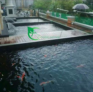 HARGA PEMBUATAN KOLAM KOI