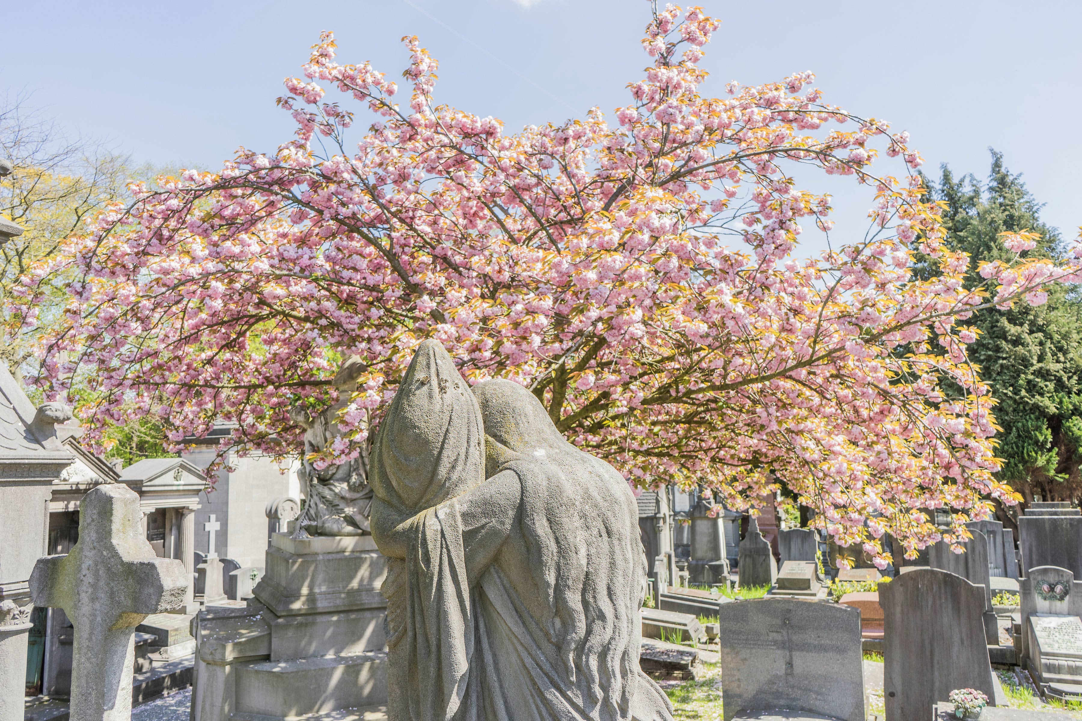 Cemeteries’ Spring 2024 at the Leaken Cemetery