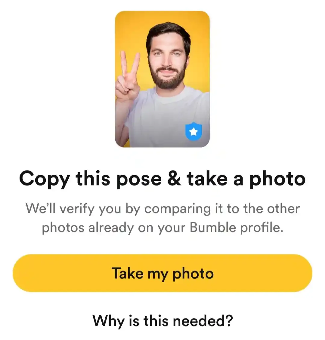 Bumble profile verification