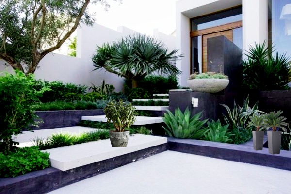 modern landscape design