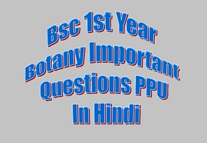 Bsc 1st Year Botany Important Questions 2022 PPU In Hindi
