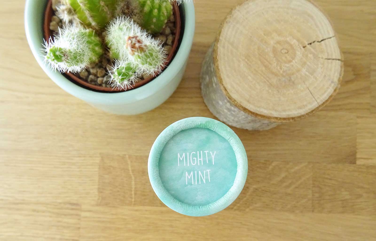 Déostick ''mighty mint'' We Love The Planet