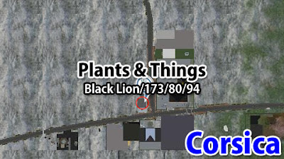 http://maps.secondlife.com/secondlife/Black%20Lion/173/80/94