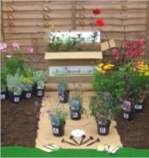 Edible Border