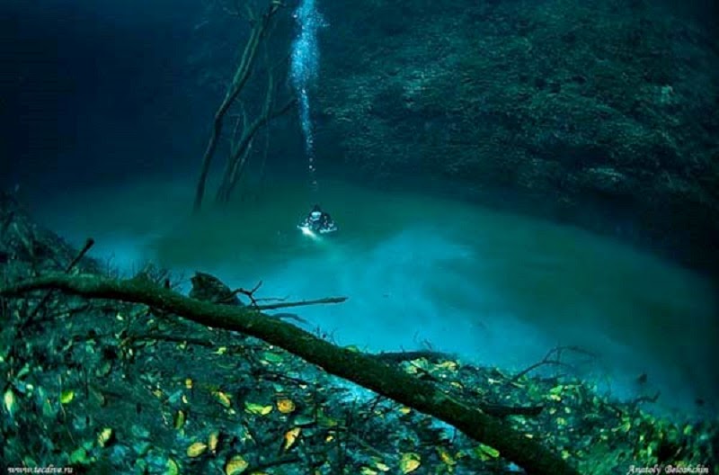 A cenote is a water filled cave, and this one holds quite a surprise.