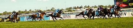 race 8_finish 5