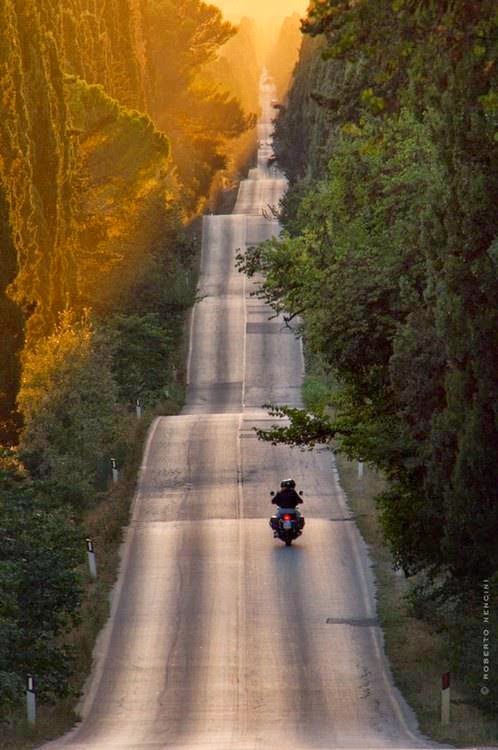 The border between Norway and Sweden