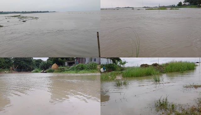 ফরিদপুরে পানিবন্দি ৫৬ গ্রামের ১০ হাজার মানুষ