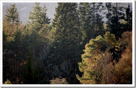 20 Dec 6 18-12-2011 12-40-36