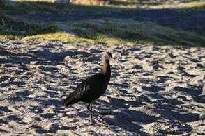 IMG_8588