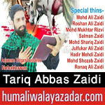 http://www.humaliwalayazadar.com/2017/10/tariq-abbas-zaidi-nohay-2018.html
