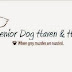 December's Charity of the Month is… Senior Dog Haven & Hospice