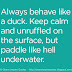 Always behave like a duck. Keep calm and unruffled on the surface, but paddle like hell underwater. 