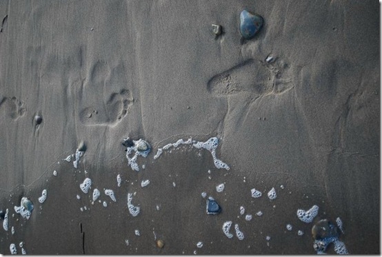 footprints imprint