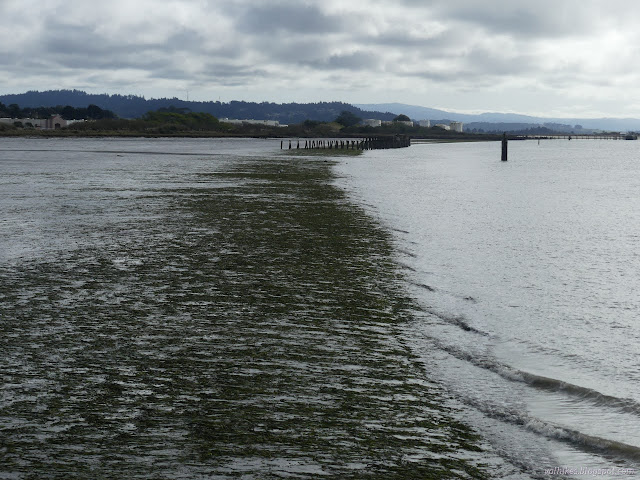 76: mud flats and beams